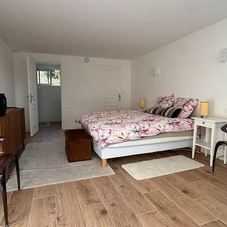 Villa Cap D Contemporaine Pied Dans L Eau Antibes