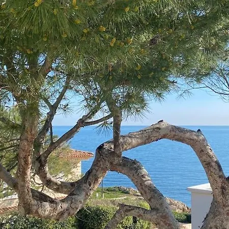 Villa Cap D Contemporaine Pied Dans L Eau Antibes